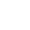 Lazada Icon